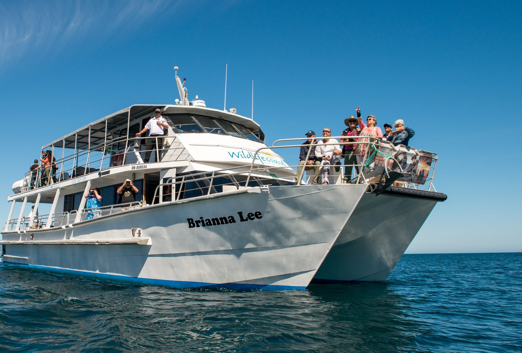 Wildlife Coast Cruises Sydney Melbourne Touring